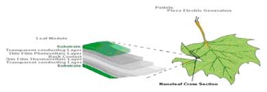 Fig.(2):Construction of Nano Leaf  