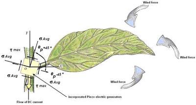 Fig(3). Absorption of three natural effects in one leaf